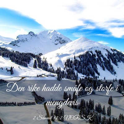 Picture 03 - 2 Samuel 12:2 NORSK - Den rike hadde småfe og storfe i - Bible Verse Picture