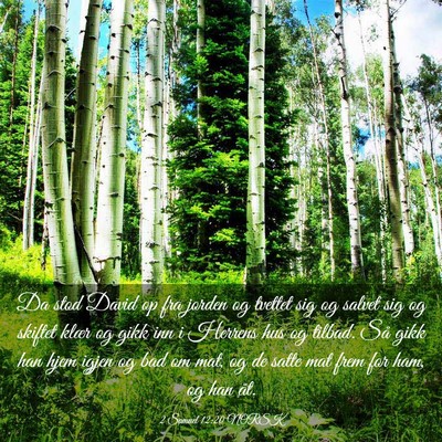 Picture 03 - 2 Samuel 12:20 NORSK - Da stod David op fra jorden og tvettet sig og - Bible Verse Picture