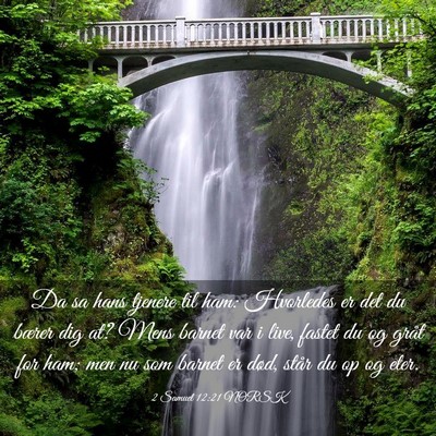 Picture 03 - 2 Samuel 12:21 NORSK - Da sa hans tjenere til ham: Hvorledes er det du - Bible Verse Picture