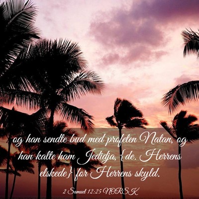 Picture 03 - 2 Samuel 12:25 NORSK - og han sendte bud med profeten Natan, og han - Bible Verse Picture
