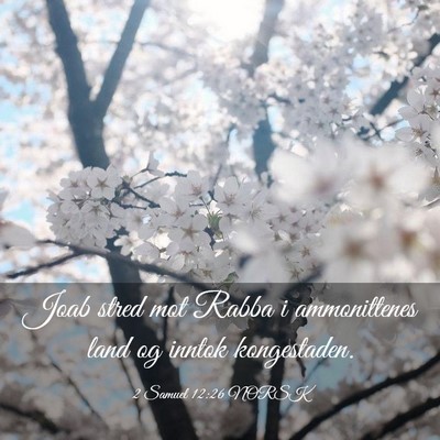Picture 03 - 2 Samuel 12:26 NORSK - Joab stred mot Rabba i ammonittenes land og - Bible Verse Picture
