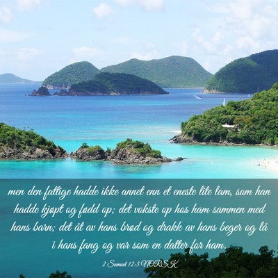 Picture 03 - 2 Samuel 12:3 NORSK - men den fattige hadde ikke annet enn et eneste - Bible Verse Picture