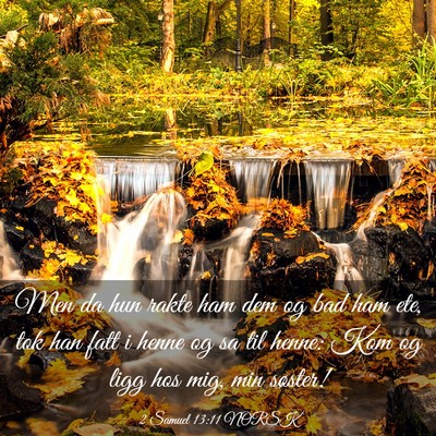 Picture 03 - 2 Samuel 13:11 NORSK - Men da hun rakte ham dem og bad ham ete, tok han - Bible Verse Picture