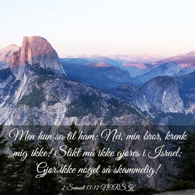 Picture 03 - 2 Samuel 13:12 NORSK - Men hun sa til ham: Nei, min bror, krenk mig - Bible Verse Picture
