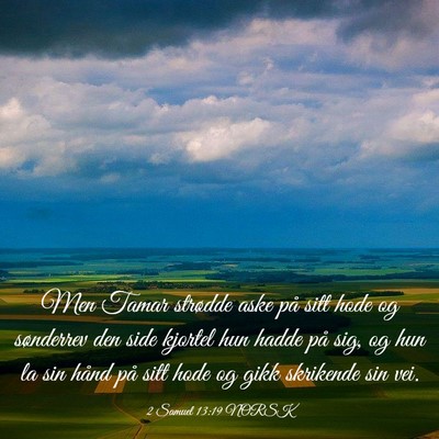 Picture 03 - 2 Samuel 13:19 NORSK - Men Tamar strødde aske på sitt hode og - Bible Verse Picture