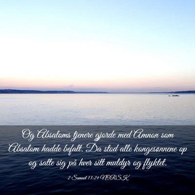 Picture 03 - 2 Samuel 13:29 NORSK - Og Absaloms tjenere gjorde med Amnon som Absalom - Bible Verse Picture