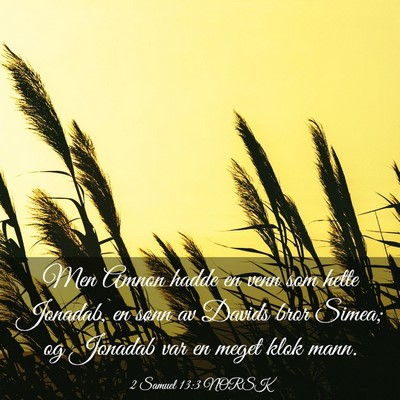 Picture 03 - 2 Samuel 13:3 NORSK - Men Amnon hadde en venn som hette Jonadab, en - Bible Verse Picture