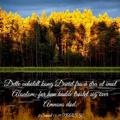 Picture 03 - 2 Samuel 13:39 NORSK - Dette avholdt kong David fra å dra ut imot - Bible Verse Picture