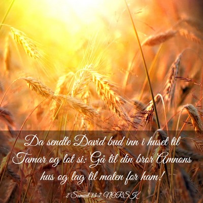 Picture 03 - 2 Samuel 13:7 NORSK - Da sendte David bud inn i huset til Tamar og lot - Bible Verse Picture