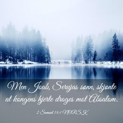 Picture 03 - 2 Samuel 14:1 NORSK - Men Joab, Serujas sønn, skjønte at kongens - Bible Verse Picture