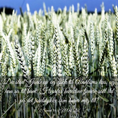 Picture 03 - 2 Samuel 14:31 NORSK - Da stod Joab op og gikk til Absaloms hus, og han - Bible Verse Picture