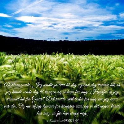 Picture 03 - 2 Samuel 14:32 NORSK - Absalom svarte: Jeg sendte jo bud til dig og bad - Bible Verse Picture