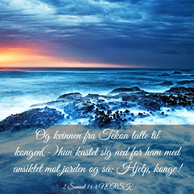 Picture 03 - 2 Samuel 14:4 NORSK - Og kvinnen fra Tekoa talte til kongen(-)hun - Bible Verse Picture