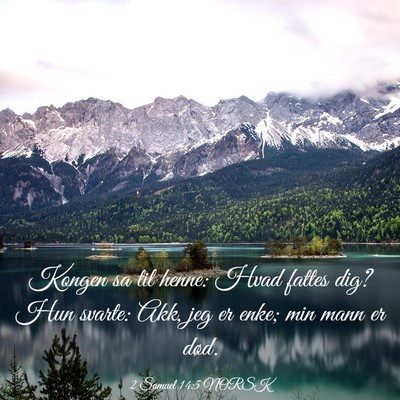 Picture 03 - 2 Samuel 14:5 NORSK - Kongen sa til henne: Hvad fattes dig? Hun svarte: - Bible Verse Picture