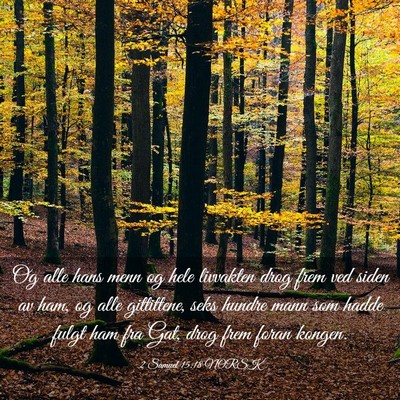 Picture 03 - 2 Samuel 15:18 NORSK - Og alle hans menn og hele livvakten drog frem ved - Bible Verse Picture
