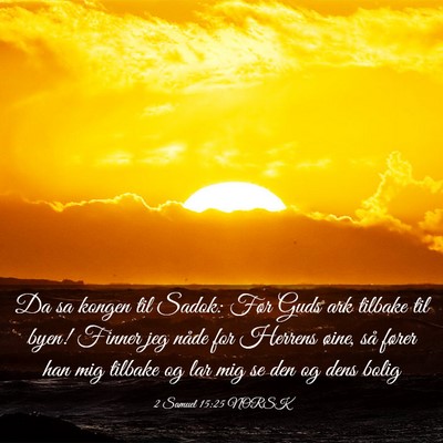 Picture 03 - 2 Samuel 15:25 NORSK - Da sa kongen til Sadok: Før Guds ark tilbake til - Bible Verse Picture
