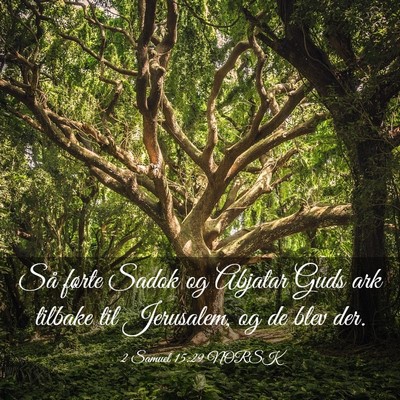 Picture 03 - 2 Samuel 15:29 NORSK - Så førte Sadok og Abjatar Guds ark tilbake til - Bible Verse Picture