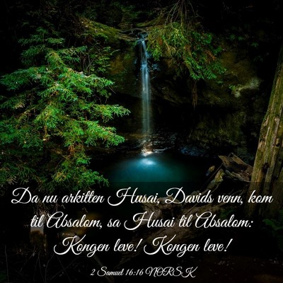 Picture 03 - 2 Samuel 16:16 NORSK - Da nu arkitten Husai, Davids venn, kom til - Bible Verse Picture