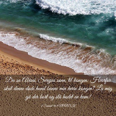 Picture 03 - 2 Samuel 16:9 NORSK - Da sa Abisai, Serujas sønn, til kongen: Hvorfor - Bible Verse Picture