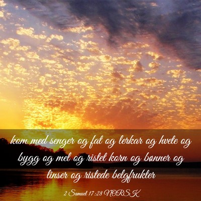 Picture 03 - 2 Samuel 17:28 NORSK - kom med senger og fat og lerkar og hvete og bygg - Bible Verse Picture