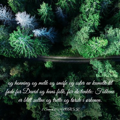 Picture 03 - 2 Samuel 17:29 NORSK - og honning og melk og småfe og oster av kumelk - Bible Verse Picture