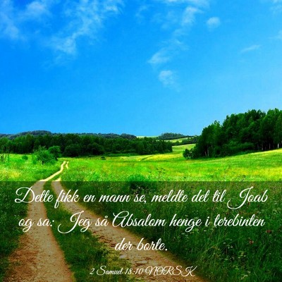 Picture 03 - 2 Samuel 18:10 NORSK - Dette fikk en mann se, meldte det til Joab og sa: - Bible Verse Picture