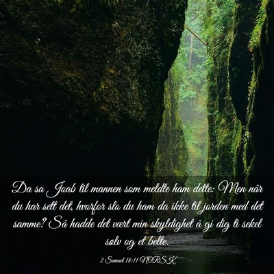 Picture 03 - 2 Samuel 18:11 NORSK - Da sa Joab til mannen som meldte ham dette: Men - Bible Verse Picture