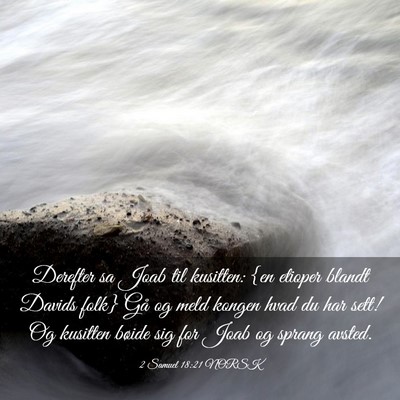 Picture 03 - 2 Samuel 18:21 NORSK - Derefter sa Joab til kusitten: {en etioper blandt - Bible Verse Picture