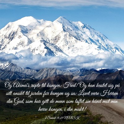 Picture 03 - 2 Samuel 18:28 NORSK - Og Akima's ropte til kongen: Fred! Og han kastet - Bible Verse Picture