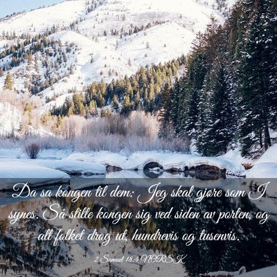 Picture 03 - 2 Samuel 18:4 NORSK - Da sa kongen til dem: Jeg skal gjøre som I - Bible Verse Picture