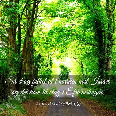 Picture 03 - 2 Samuel 18:6 NORSK - Så drog folket ut i marken mot Israel, og det - Bible Verse Picture