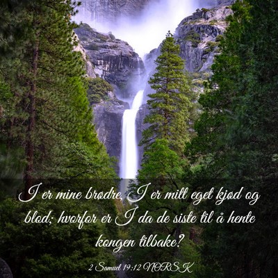 Picture 03 - 2 Samuel 19:12 NORSK - I er mine brødre, I er mitt eget kjød og blod; - Bible Verse Picture