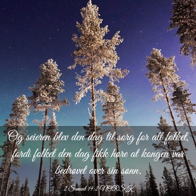 Picture 03 - 2 Samuel 19:2 NORSK - Og seieren blev den dag til sorg for alt folket, - Bible Verse Picture