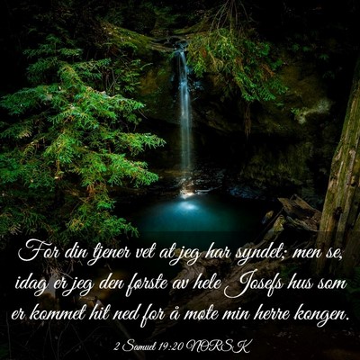 Picture 03 - 2 Samuel 19:20 NORSK - For din tjener vet at jeg har syndet; men se, - Bible Verse Picture