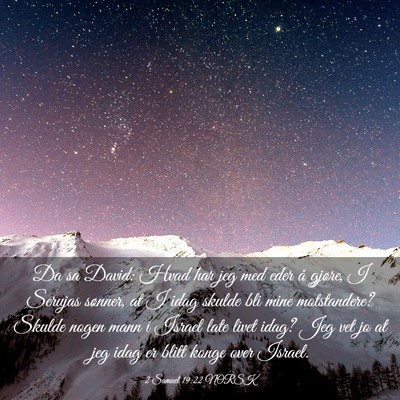 Picture 03 - 2 Samuel 19:22 NORSK - Da sa David: Hvad har jeg med eder å gjøre, I - Bible Verse Picture