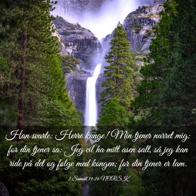 Picture 03 - 2 Samuel 19:26 NORSK - Han svarte: Herre konge! Min tjener narret mig; - Bible Verse Picture