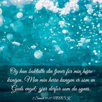 Picture 03 - 2 Samuel 19:27 NORSK - Og han baktalte din tjener for min herre kongen. - Bible Verse Picture