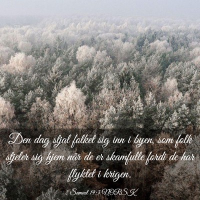 Picture 03 - 2 Samuel 19:3 NORSK - Den dag stjal folket sig inn i byen, som folk - Bible Verse Picture