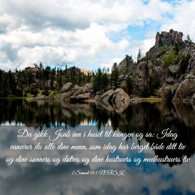 Picture 03 - 2 Samuel 19:5 NORSK - Da gikk Joab inn i huset til kongen og sa: Idag - Bible Verse Picture