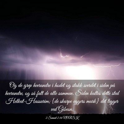 Picture 03 - 2 Samuel 2:16 NORSK - Og de grep hverandre i hodet og stakk sverdet i - Bible Verse Picture