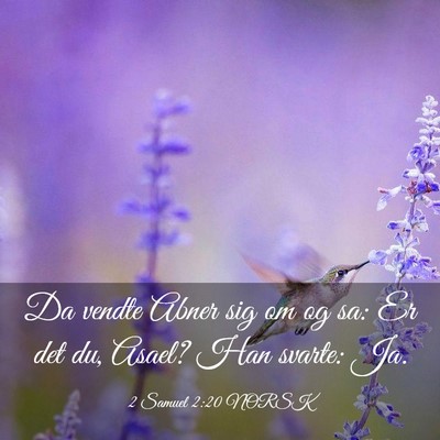 Picture 03 - 2 Samuel 2:20 NORSK - Da vendte Abner sig om og sa: Er det du, Asael? - Bible Verse Picture