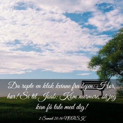 Picture 03 - 2 Samuel 20:16 NORSK - Da ropte en klok kvinne fra byen: Hør, hør! Si - Bible Verse Picture