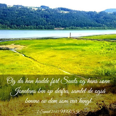 Picture 03 - 2 Samuel 21:13 NORSK - Og da han hadde ført Sauls og hans sønn - Bible Verse Picture