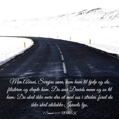 Picture 03 - 2 Samuel 21:17 NORSK - Men Abisai, Serujas sønn, kom ham til hjelp og - Bible Verse Picture