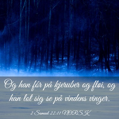 Picture 03 - 2 Samuel 22:11 NORSK - Og han fór på kjeruber og fløi, og han lot sig - Bible Verse Picture