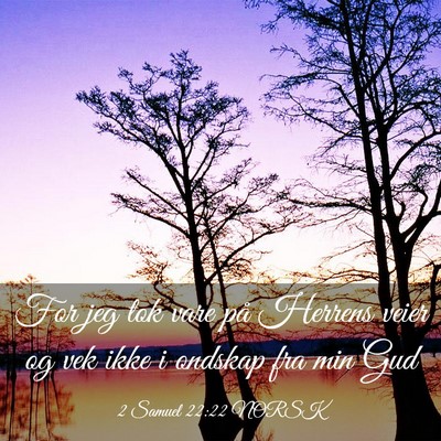 Picture 03 - 2 Samuel 22:22 NORSK - For jeg tok vare på Herrens veier og vek ikke i - Bible Verse Picture