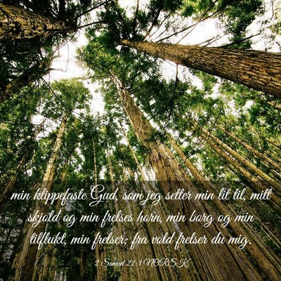 Picture 03 - 2 Samuel 22:3 NORSK - min klippefaste Gud, som jeg setter min lit til, - Bible Verse Picture