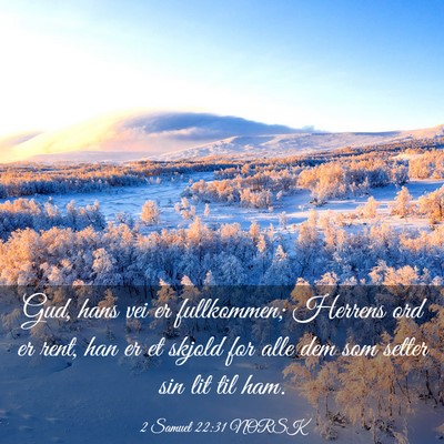 Picture 03 - 2 Samuel 22:31 NORSK - Gud, hans vei er fullkommen; Herrens ord er rent, - Bible Verse Picture