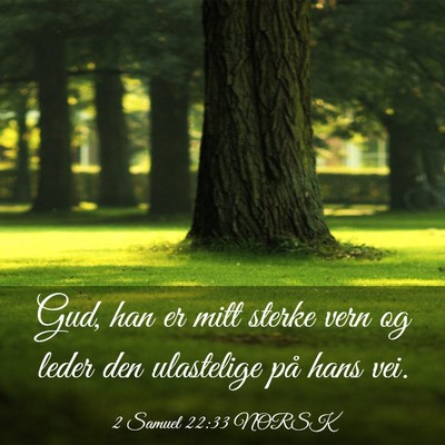 Picture 03 - 2 Samuel 22:33 NORSK - Gud, han er mitt sterke vern og leder den - Bible Verse Picture