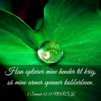 Picture 03 - 2 Samuel 22:35 NORSK - Han oplærer mine hender til krig, så mine armer - Bible Verse Picture